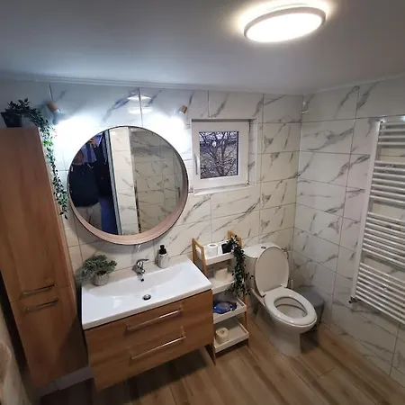 Prázdninový dům Tudor Aiud